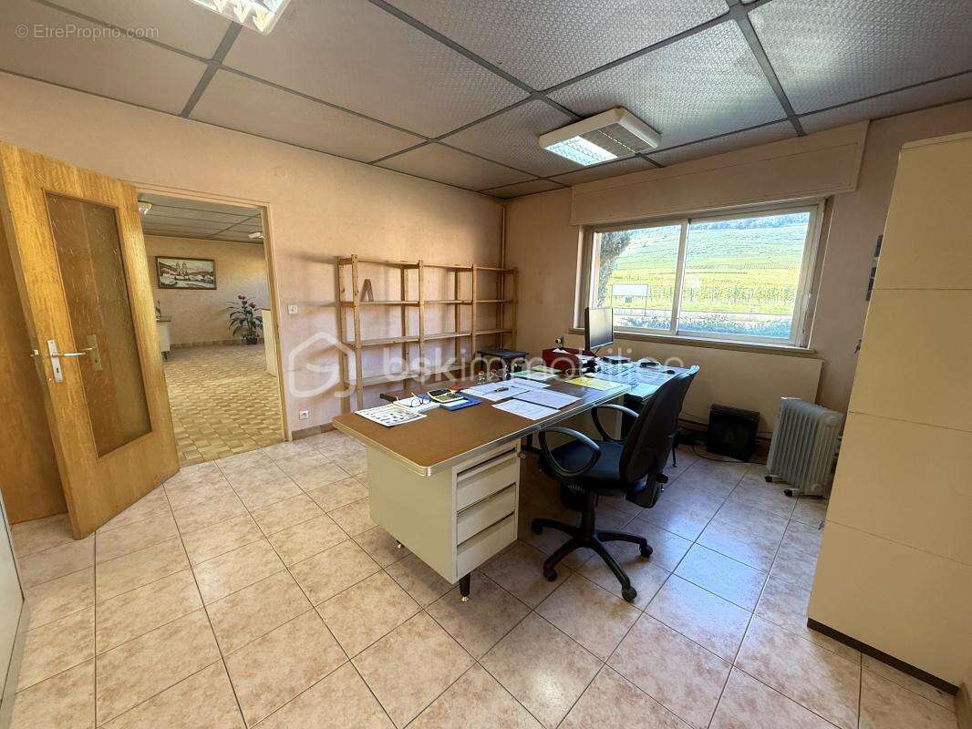 Commerce à BERGHOLTZ