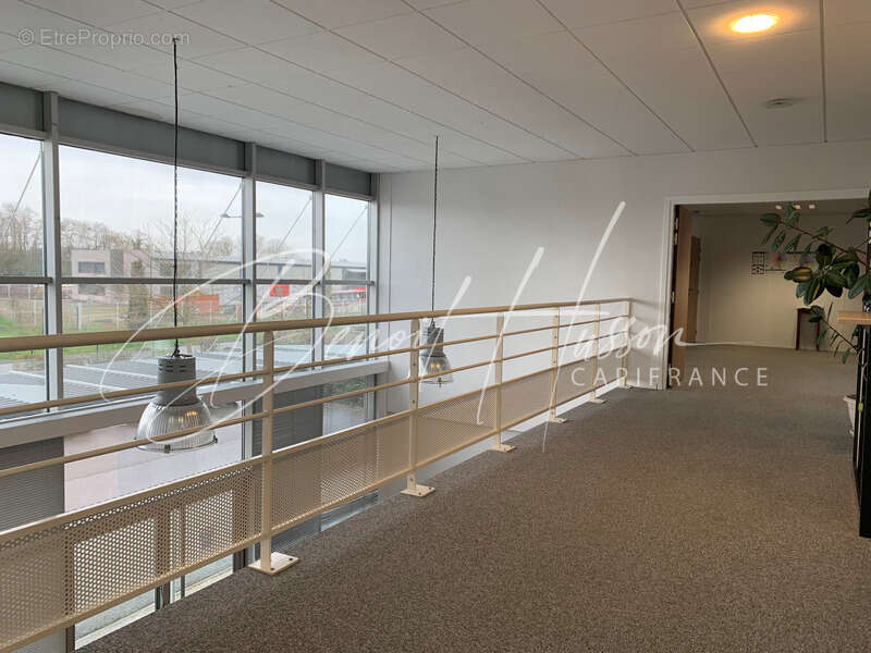 Commerce à AUTERIVE