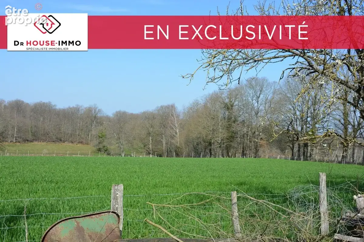 Terrain 99617 m² à Champsac  - photo 2