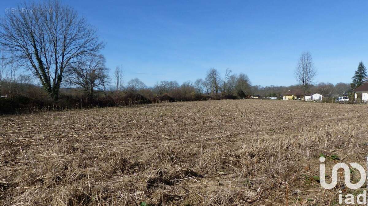 Photo 3 - Terrain à OGEU-LES-BAINS