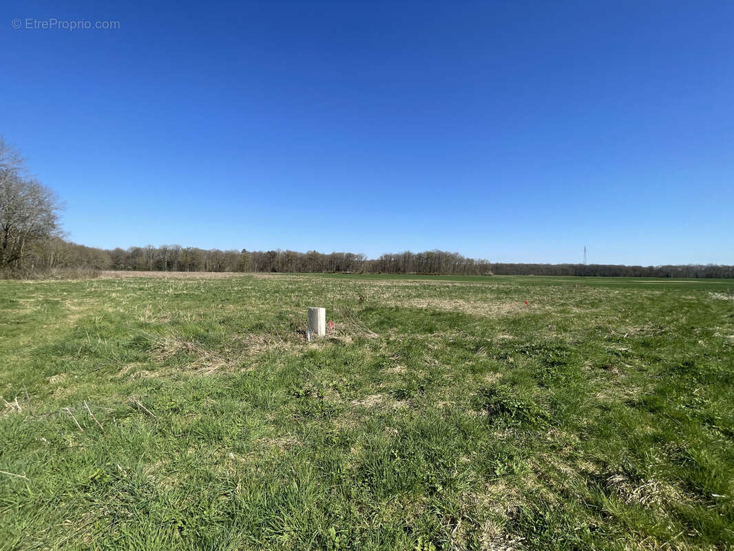 Terrain constructible 1081m2 reuilly - photo 3