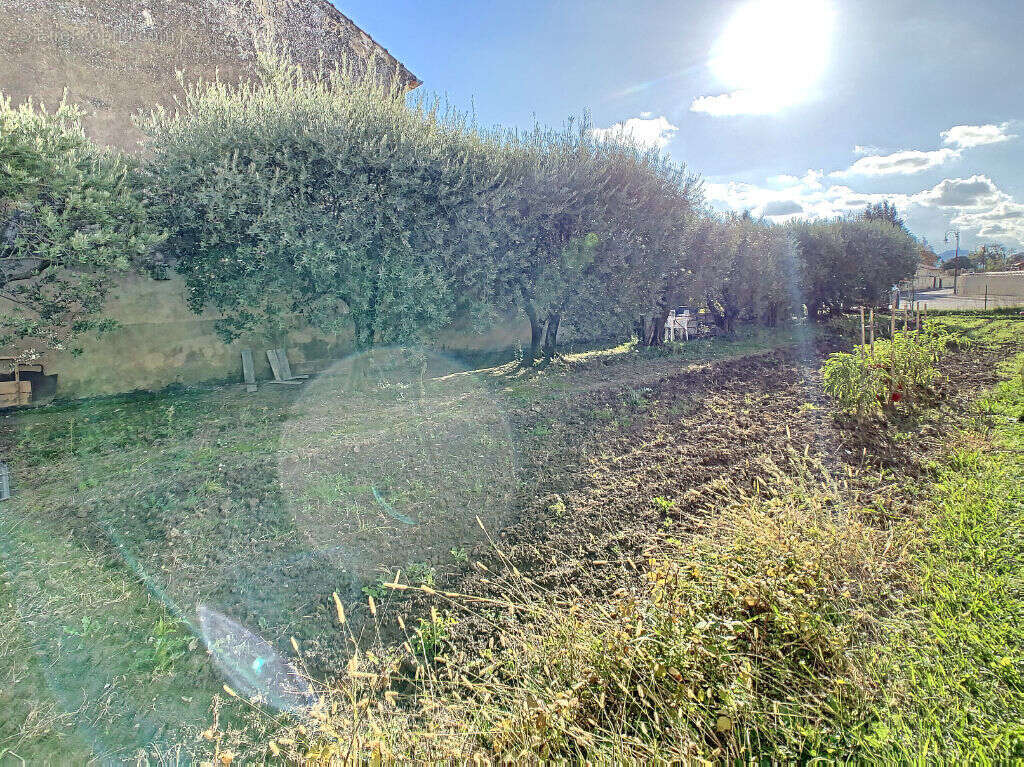 Terrain à CHEVAL-BLANC