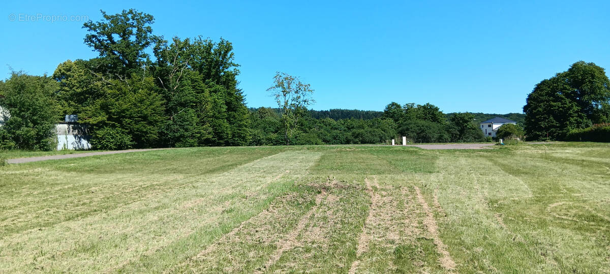 Terrain à MALBOUHANS