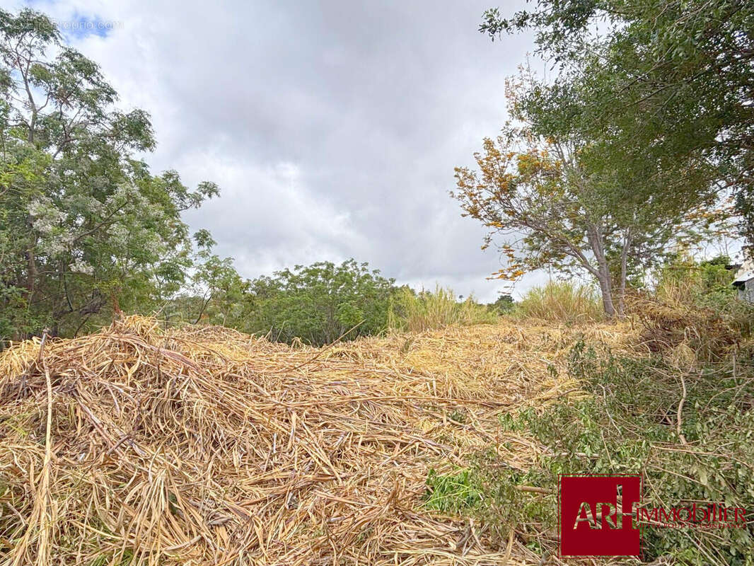 Terrain à SAINT-PAUL