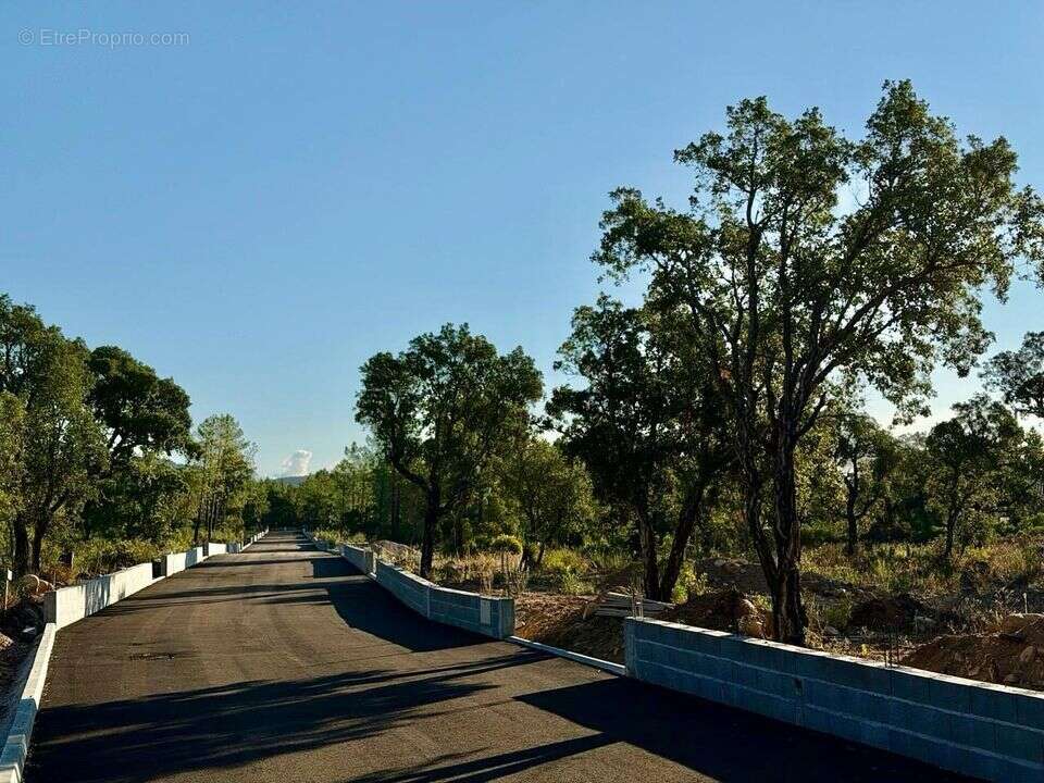Maison à PORTO-VECCHIO