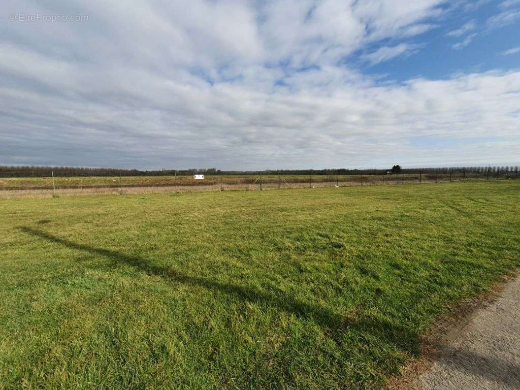 Terrain à FLAVY-LE-MARTEL