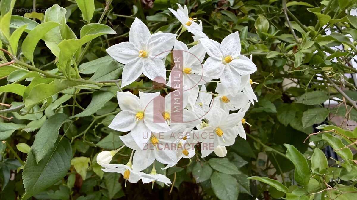 Maison à FONTAINEBLEAU
