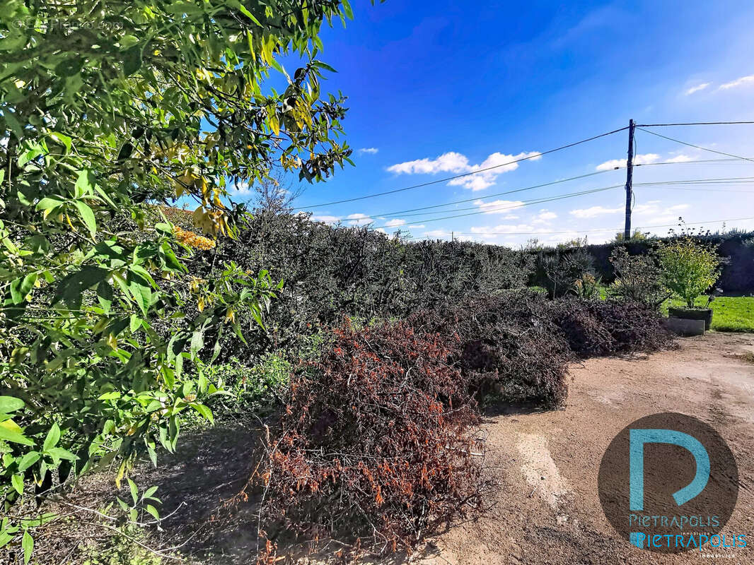 Emplacement de l&#039; accès à créer - Terrain à SAINT-CYR-SUR-MENTHON