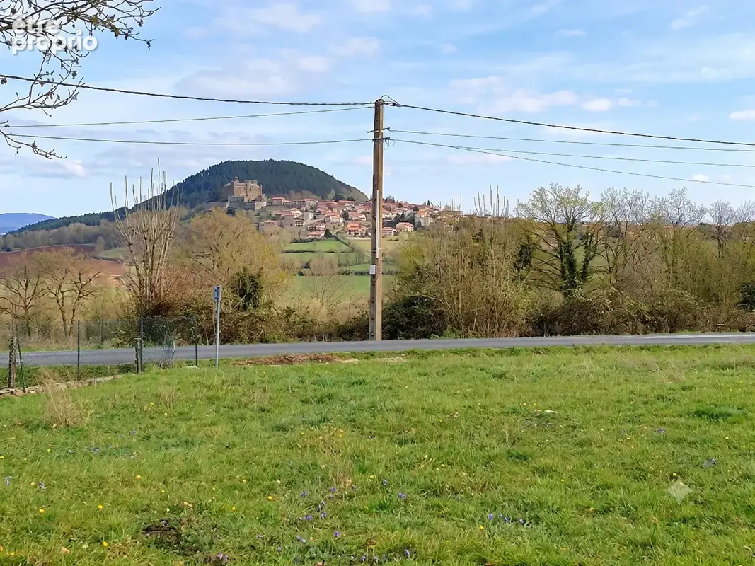 Proche de Coubon centre - photo 4