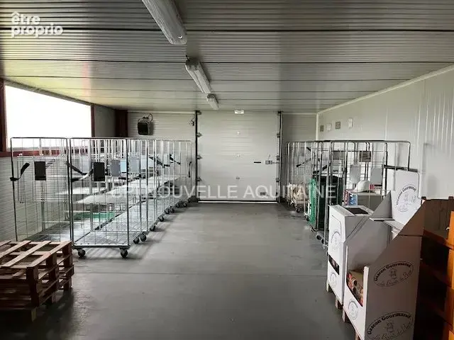 Commerce 550 m² à Savignac  - photo 5