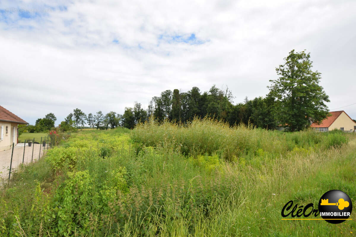 Terrain 2875 m² à Brazey-En-Plaine  - photo 3