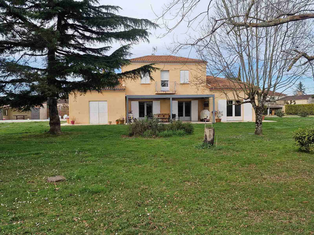 Maison d'architecte sur grand terrain avec piscine - photo 3
