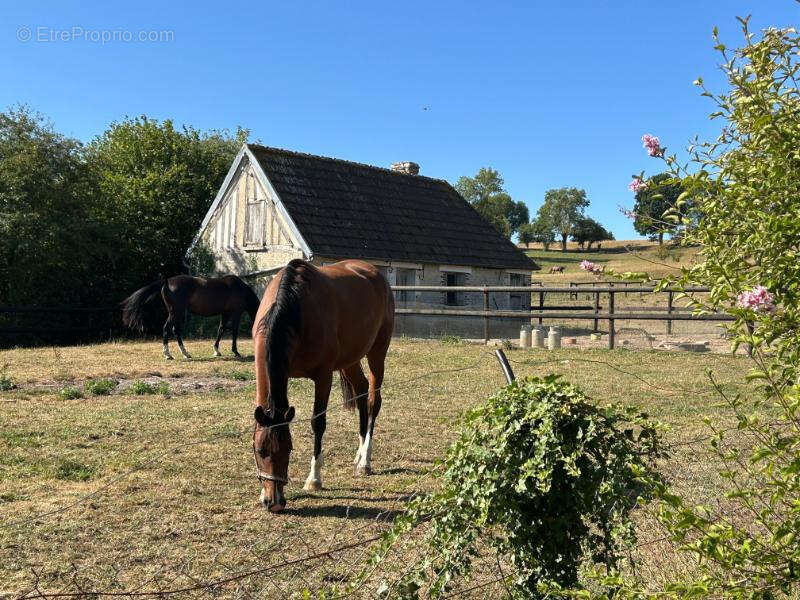 Propriété du XVIIIe Siècle dans le pays d'Auge - photo 6