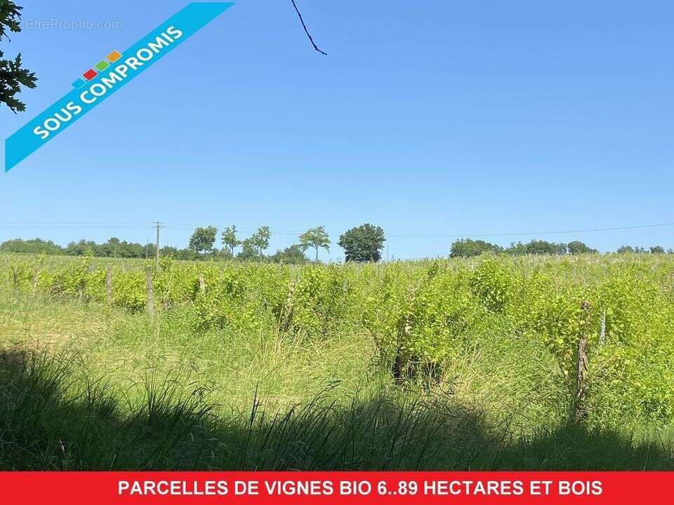 #vignes #gers #bois  - Terrain à CAZAUBON