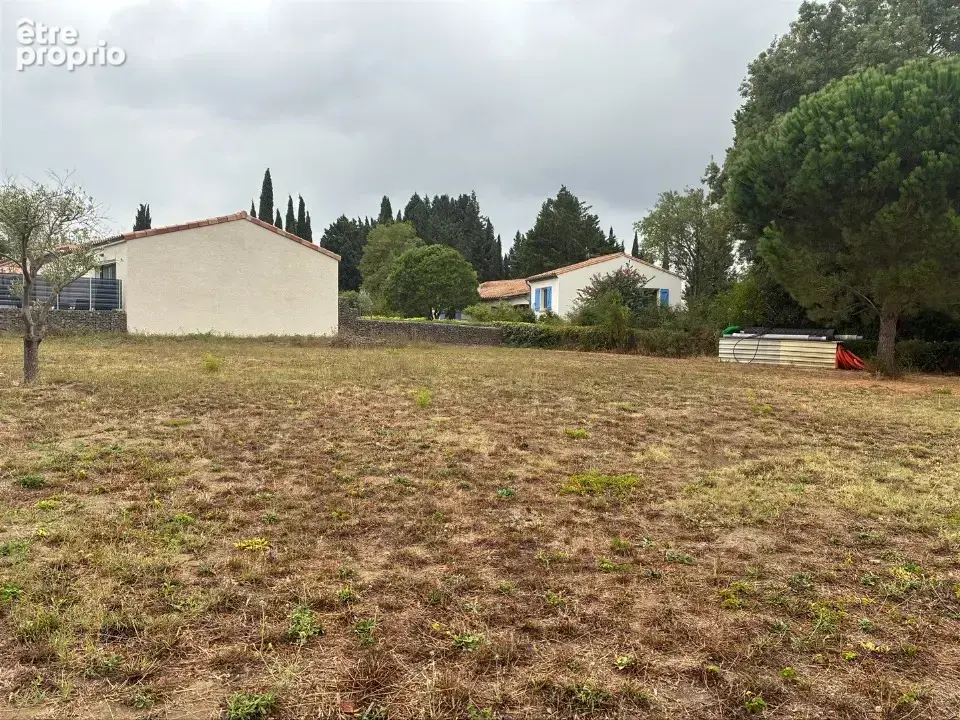 Terrain 1 093 m² à vendre à Sainte-Eulalie (11170) - photo 3