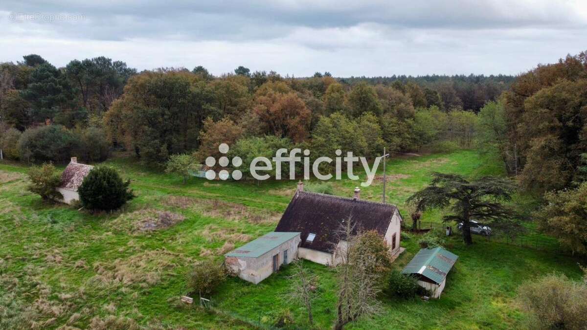 Maison à GY-EN-SOLOGNE