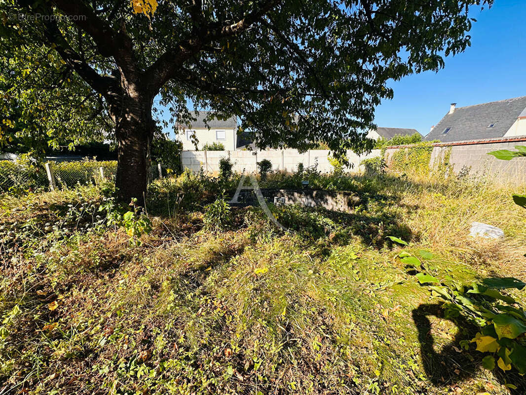 Maison Montlivault 4 pièce(s) - photo 16