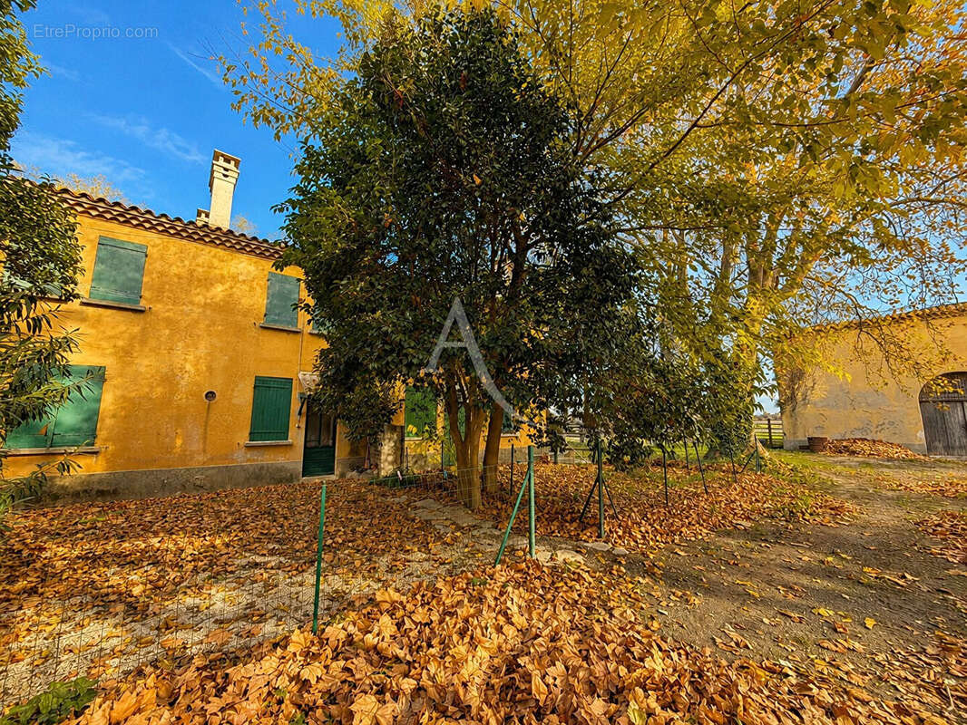 Domaine de Provence (Mas Arles) - photo 5