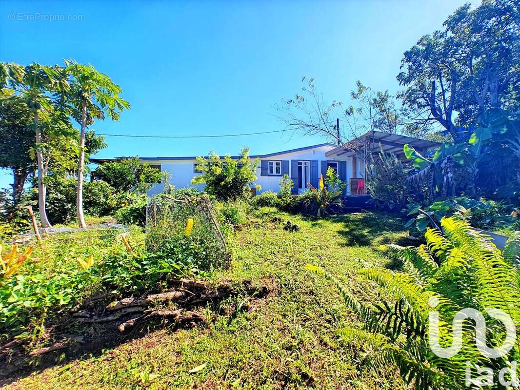 Photo 6 - Maison à PETITE-ILE