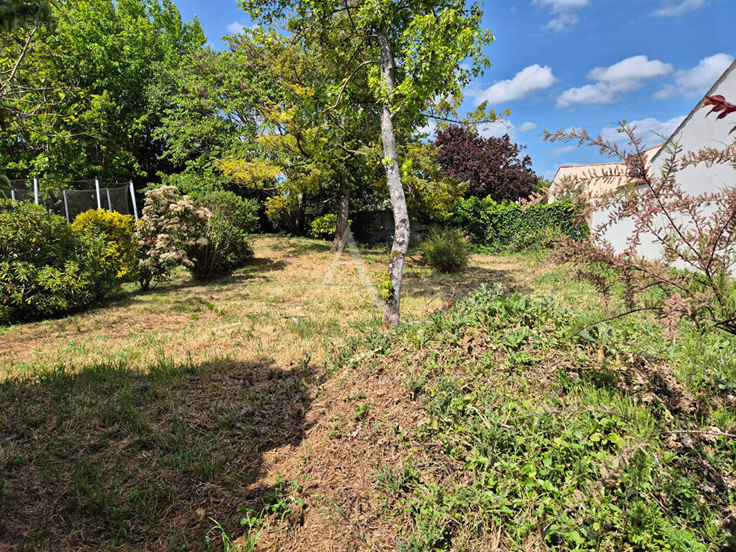 Terrain à VILLEDOUX