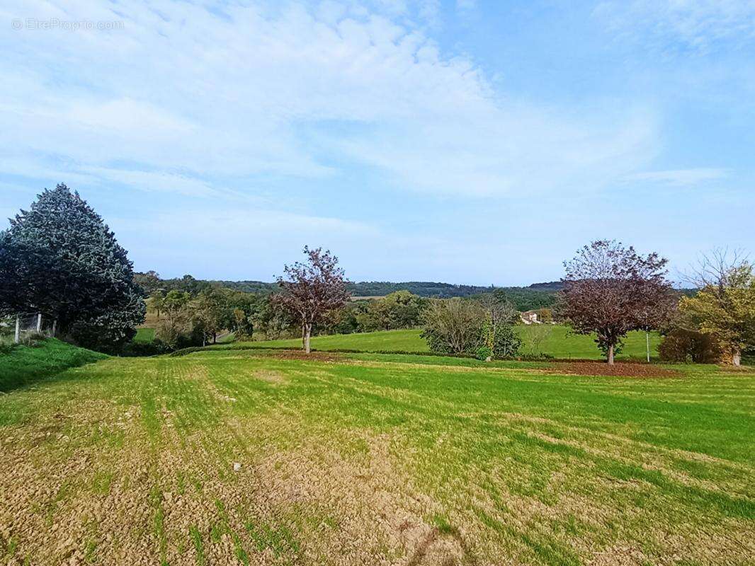 Terrain à CARLUS