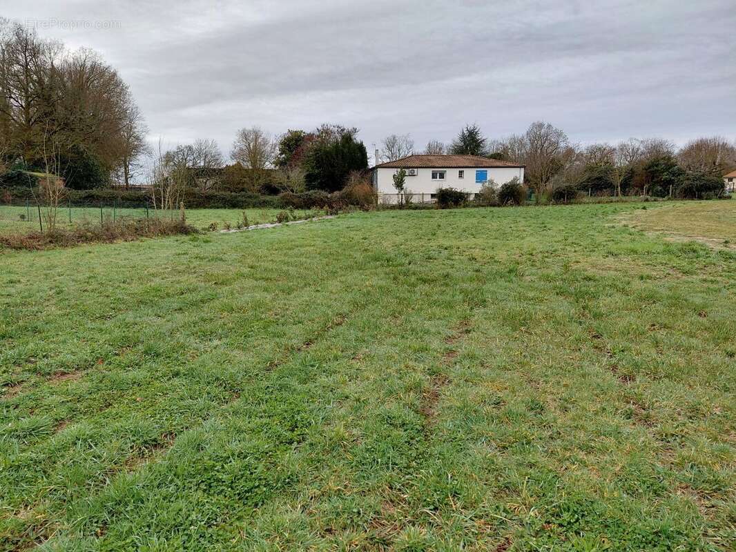 Terrain à SAINT-GEORGES-DES-COTEAUX