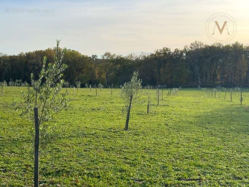 Propriété équestre d’exception implantée sur 21 hectares d’un seul tenant, à proximité de THEZAC (47) - photo 26