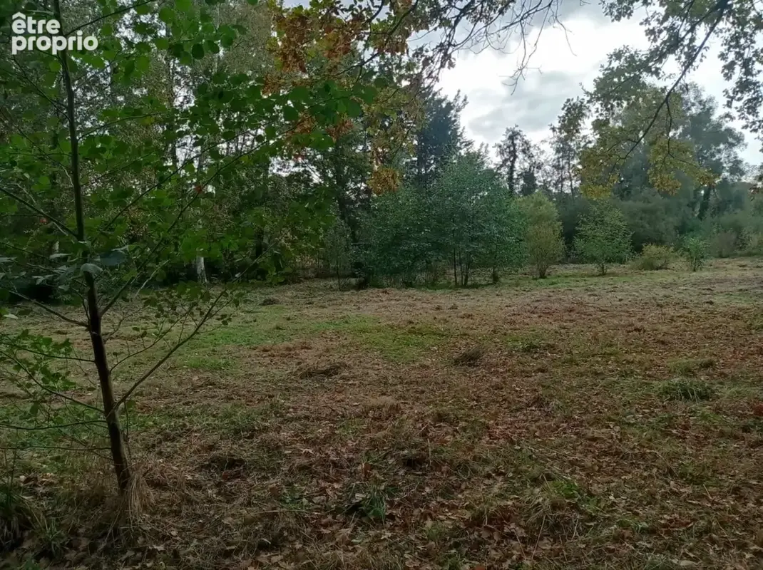 Hutte de chasse numéroté 1.5 Ha - photo 5