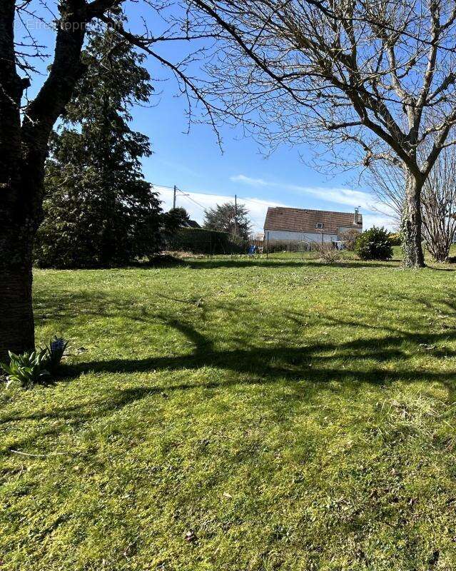 Terrain à THORIGNY-SUR-MARNE