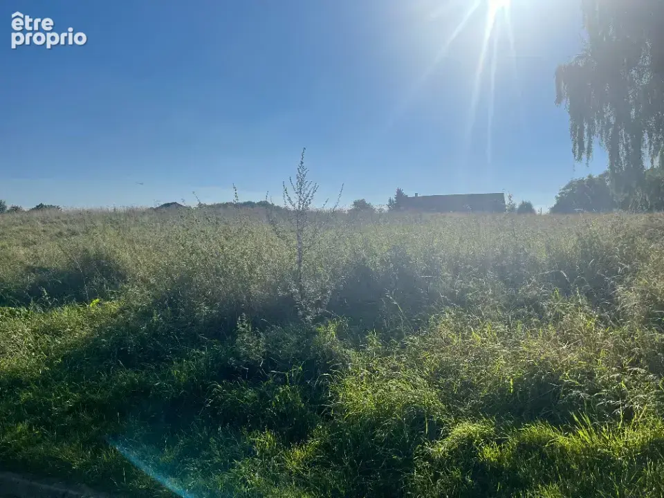 Terrain à LE CHATELET-EN-BRIE