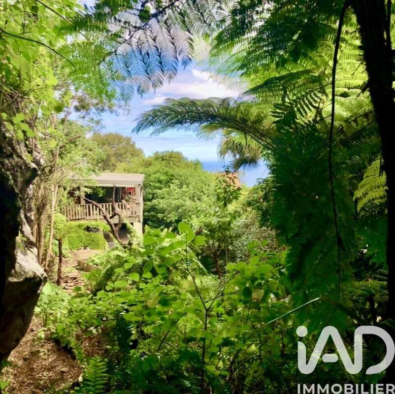 Photo 7 - Maison à SAINT-JOSEPH