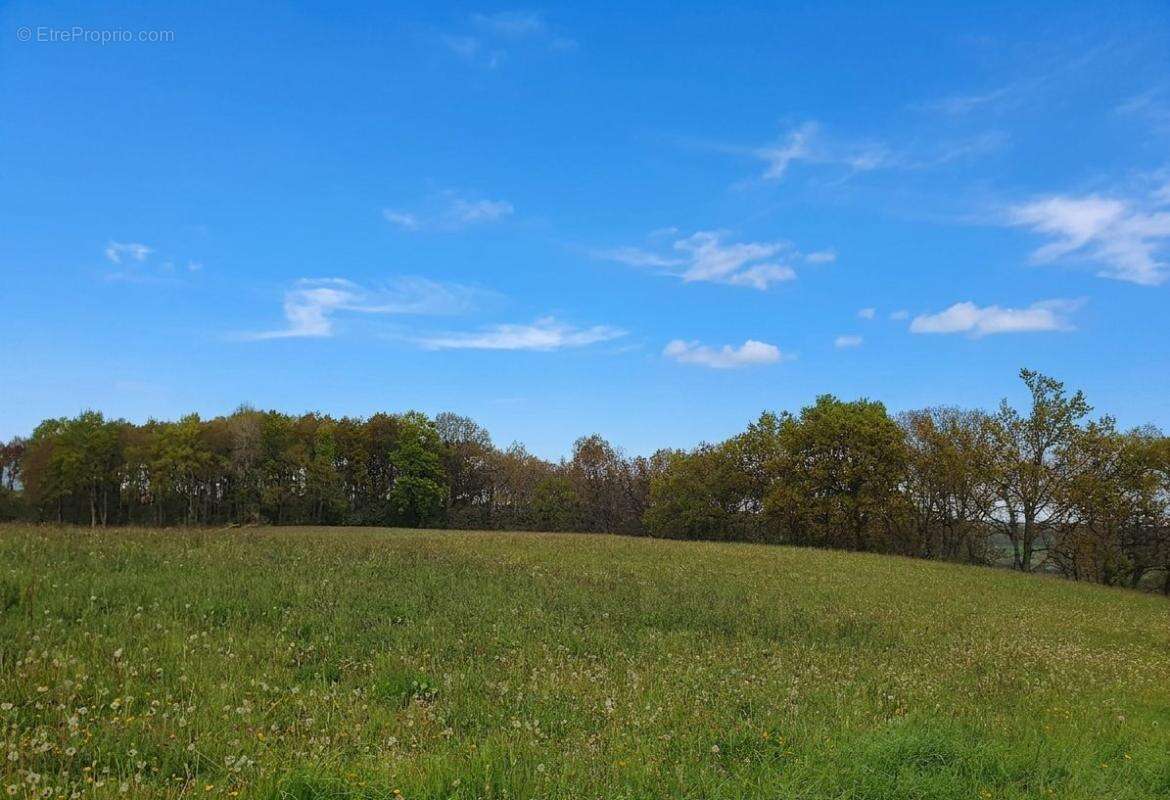 Terrain à CASTAIGNOS-SOUSLENS