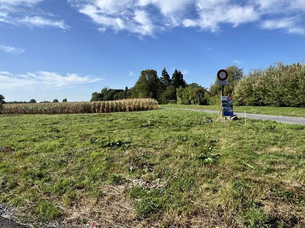 Terrain à ENNEVELIN