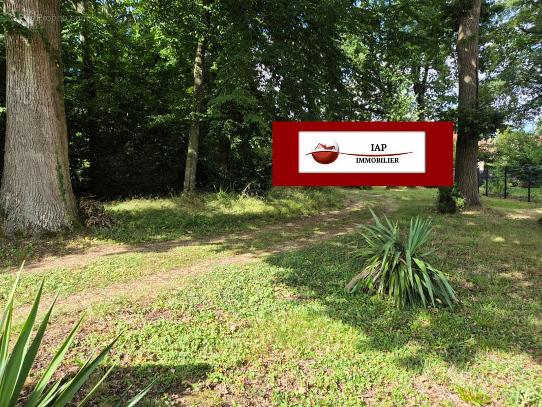 Orgerus tout a pied terrain 970 m2 - photo 3