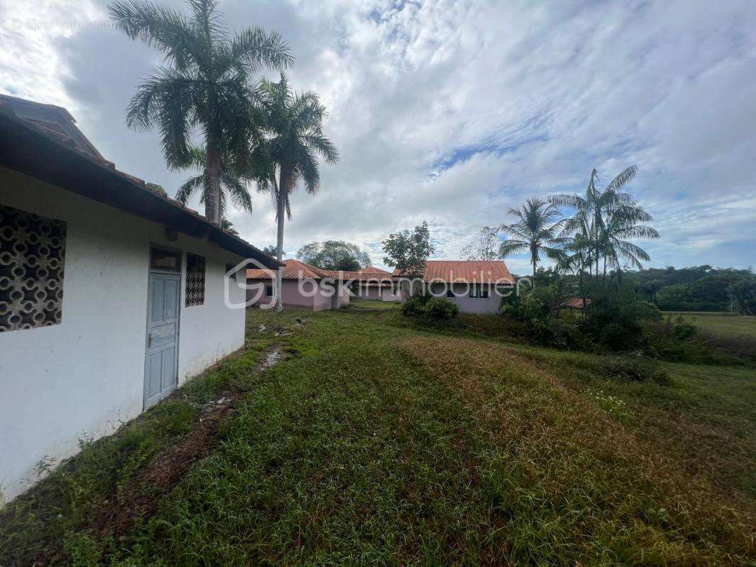 Guyane – ancien centre de rééducation sur 2,58 ha – 1 429 m² bâtis – projets agricoles, médico-sociaux, éducatifs ou collectifs - photo 7