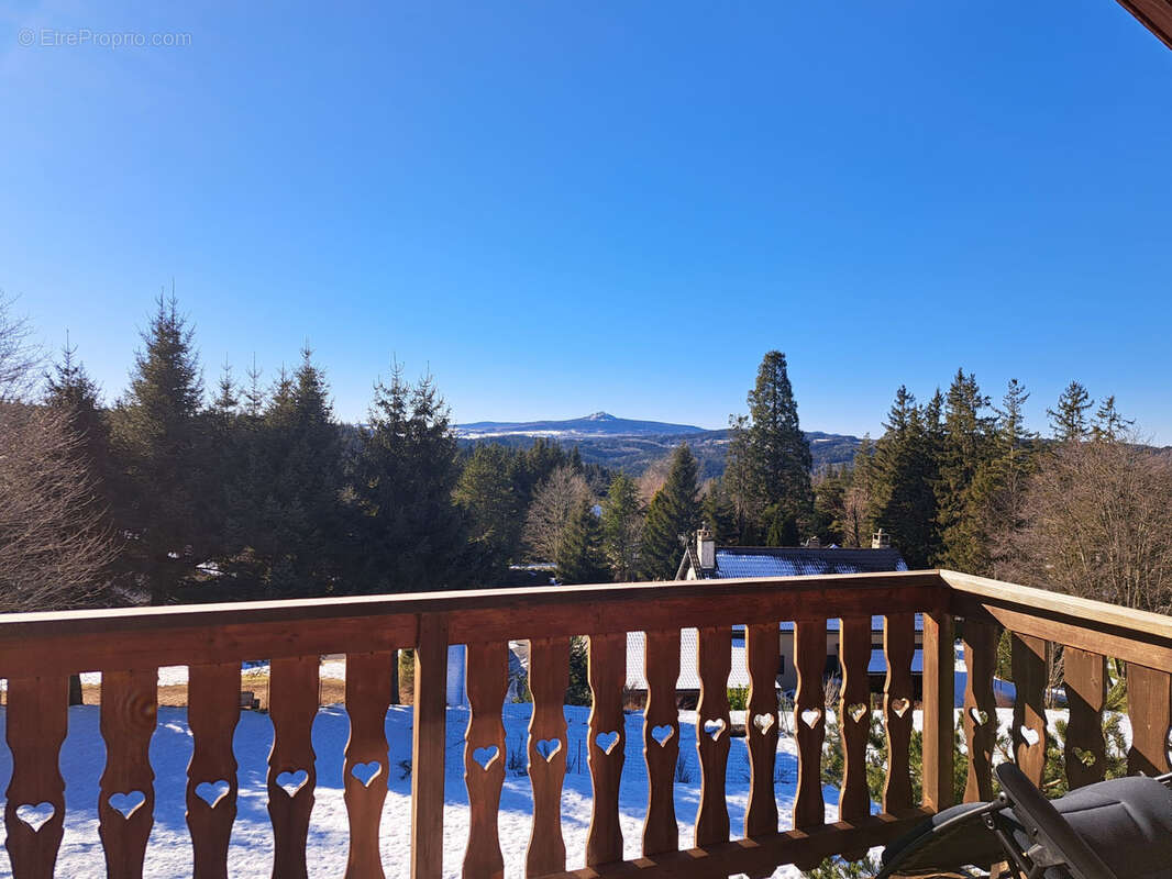 Magnifique Chalet en madrier sur 7259 m2 de terrain - photo 8