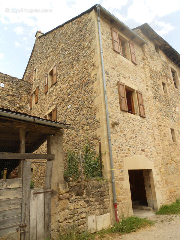 Nouveauté ! - photo 2