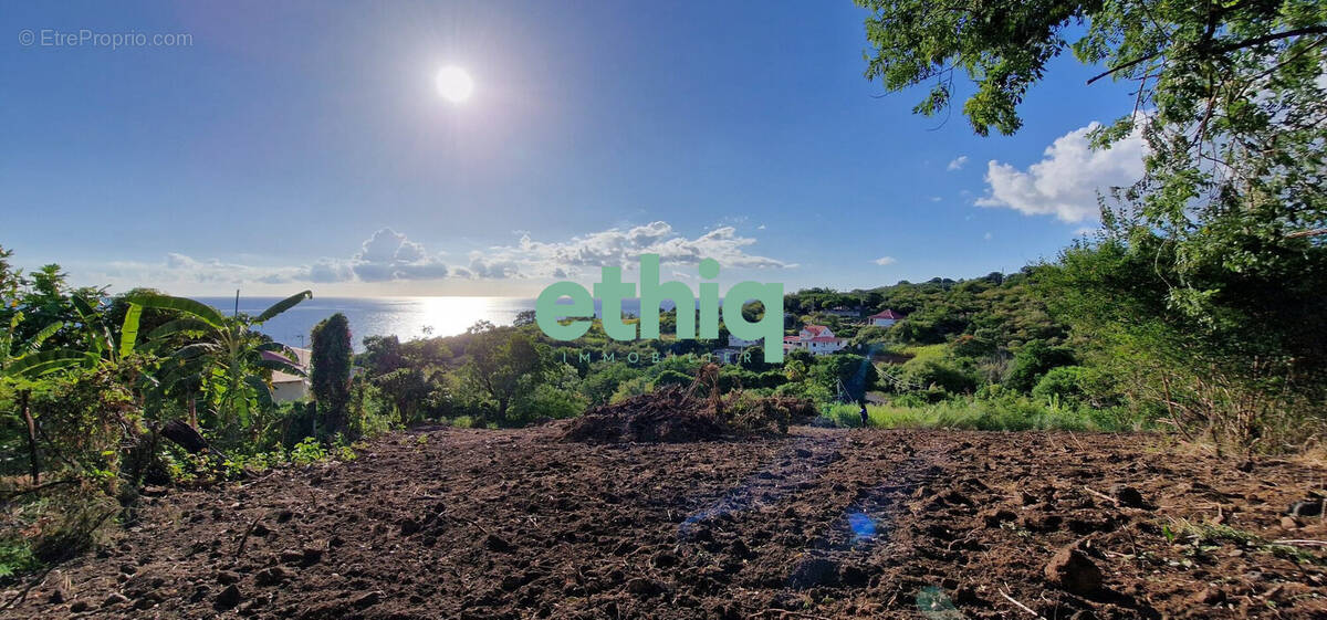 Terrain à VIEUX-HABITANTS