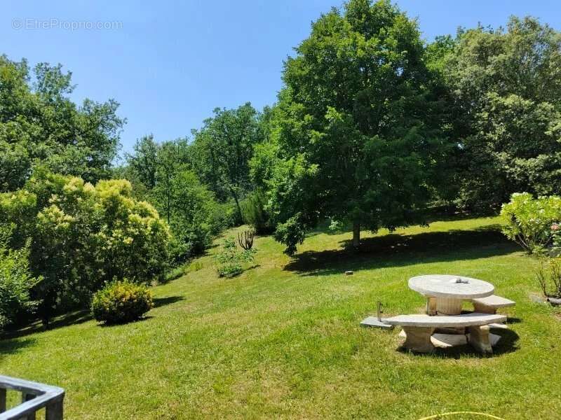 Comme un petit air de provence à 10mn d'Auch - photo 21