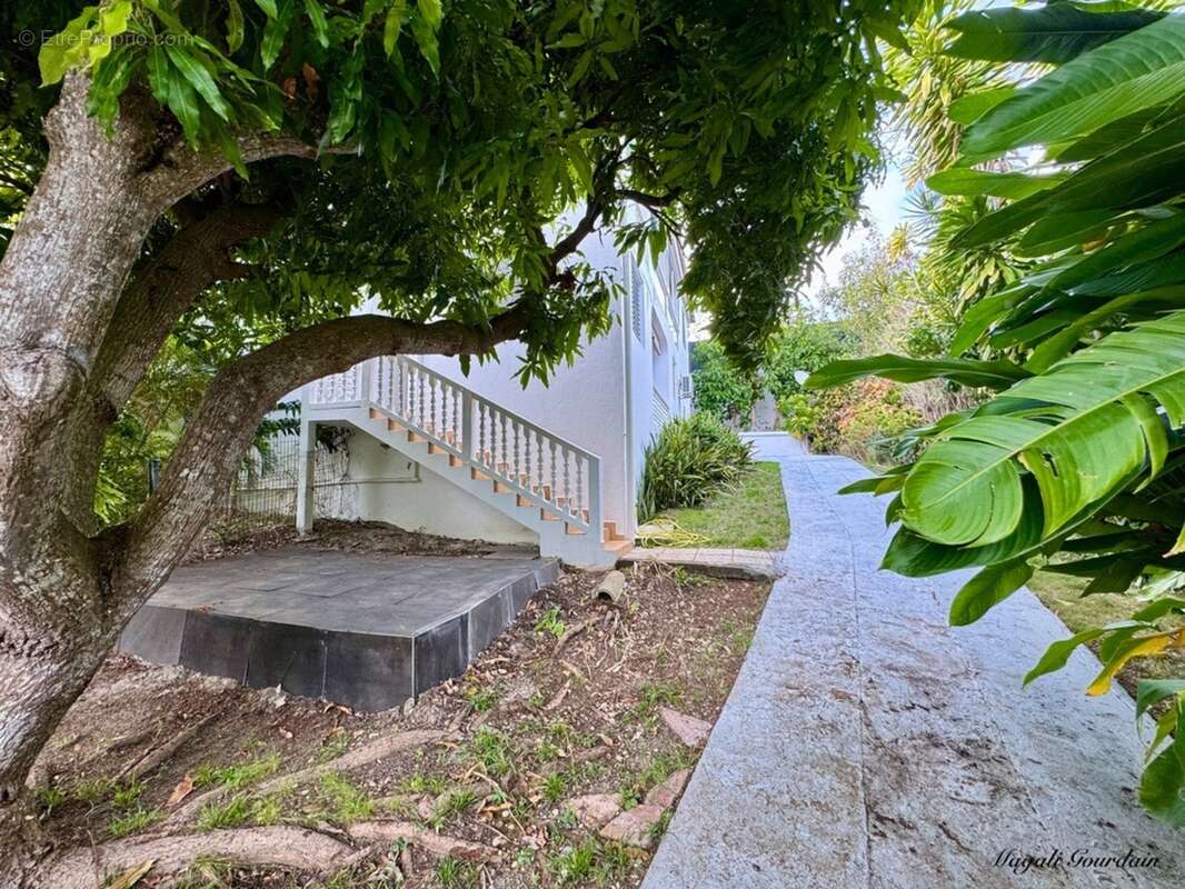 A vendre - propriété avec deux habitations indépendantes au cœur d’un jardin tropical à sainte-anne - photo 6