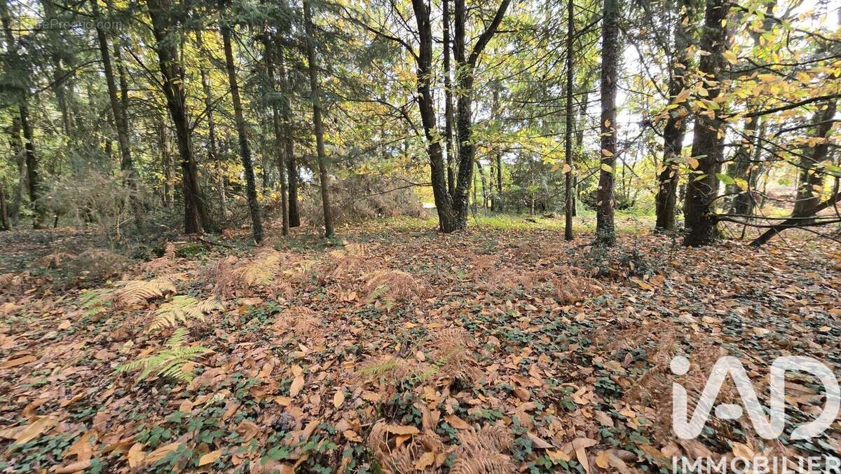 Photo 2 - Terrain à VIEUX-VY-SUR-COUESNON