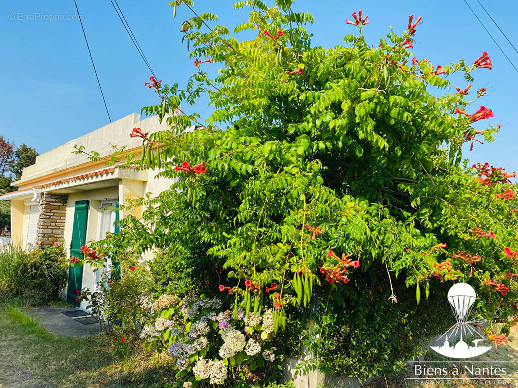 A vendre petite maison de bord de mer - photo 2