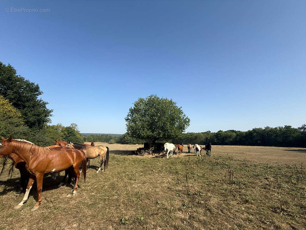 Maison à SAINT-AQUILIN-DE-CORBION