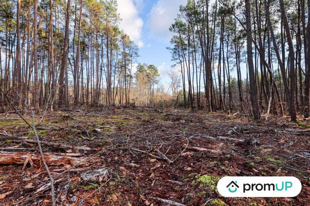 Terrain à VILLEFRANCHE-SUR-CHER