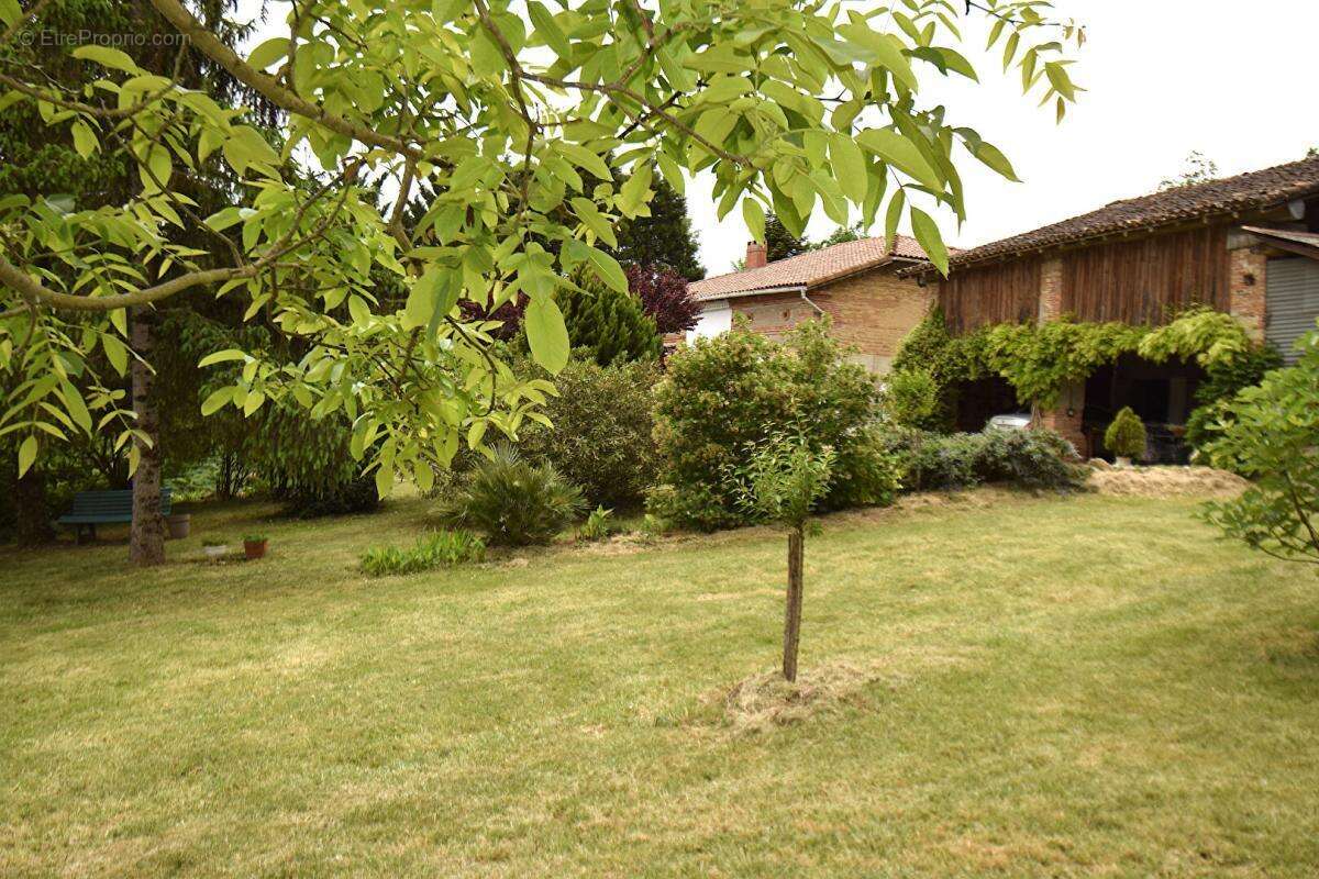 82130, Montastruc, Montauban Nord, Maison plain pied, 160 m², 6 pièces, 3/4 chambres sur 1,5 hA de terrain - photo 3