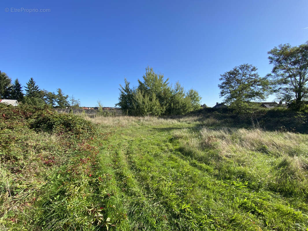 Terrain à SOUFFLENHEIM