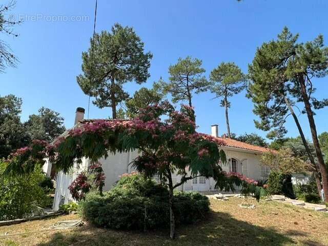 Maison à SAINT-GEORGES-DE-DIDONNE
