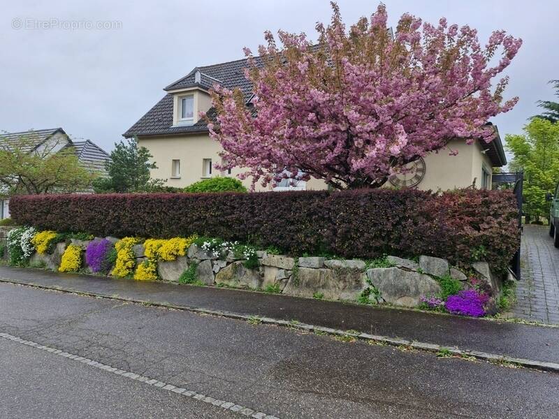 Maison à WENTZWILLER