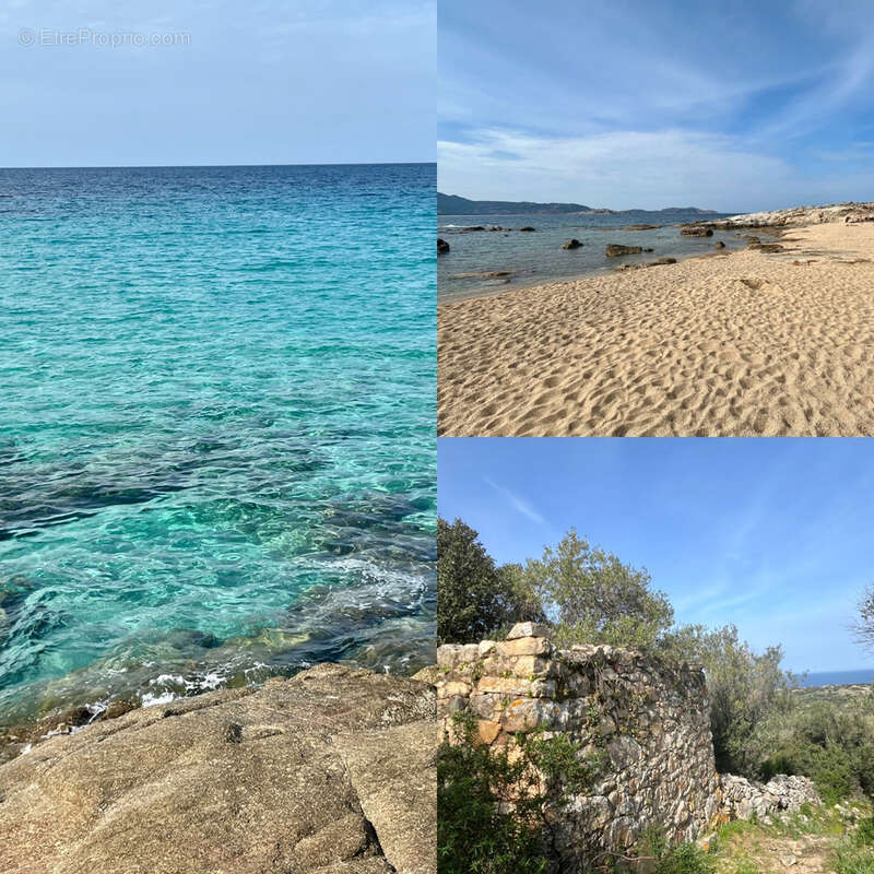 Propriété 4 logements à 1 km des plages - proche de la Réserve Naturelle de Spanu - photo 13