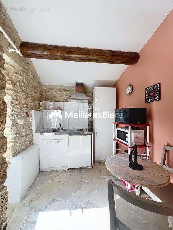 EXCLUSIVITE / Sud Ardèche  - Les Vans : Maison en pierres avec dépendance et Vue - photo 8